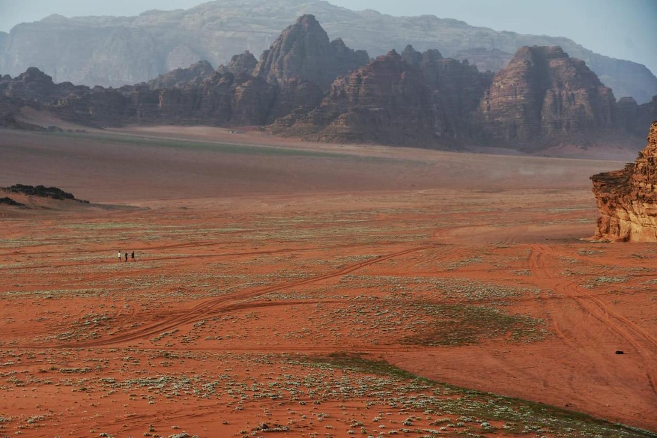 Art Camp Wadi Rum Luaran gambar
