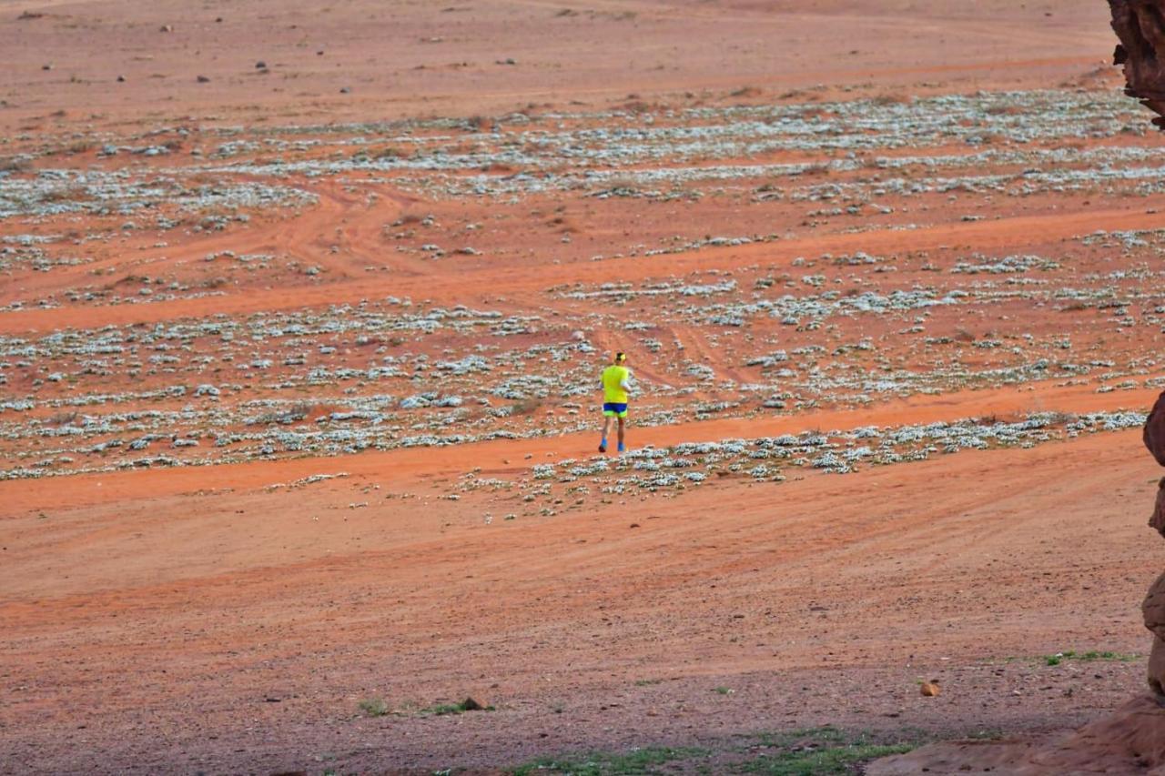 Art Camp Wadi Rum Luaran gambar